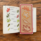 Fall Leaves Bookmark